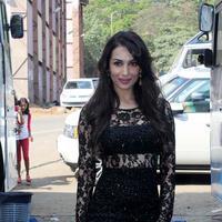Malaika Arora - Promotion of film Queen on sets of Indias Got Talent Season 5 Photos | Picture 717425