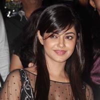 Meera Chopra - Music launch of film Gangs of Ghosts Photos | Picture 719420