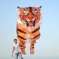 Nandita Das at 26th edition of International Kite Festival Photos | Picture 693000