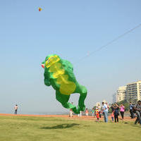 Nandita Das at 26th edition of International Kite Festival Photos | Picture 693016