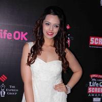 Sheeba Shabnam - Nominations party of Life OK Screen Awards 2014 Photos | Picture 692846