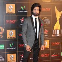 Shahid Kapoor - 9th Star Guild Awards Photos