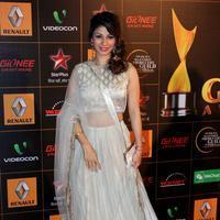 Tanisha Mukherjee - 9th Star Guild Awards Photos
