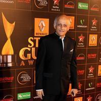Mukesh Bhatt - 9th Star Guild Awards Photos