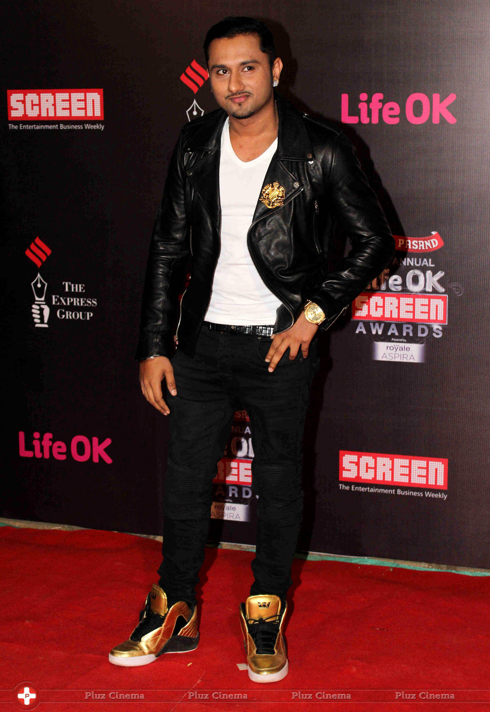 Yo Yo Honey Singh - 20th Annual Life OK Screen Awards Photos | Picture 697035