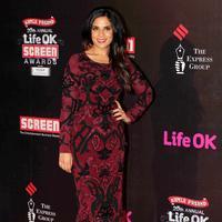 Richa Chadda - 20th Annual Life OK Screen Awards Photos