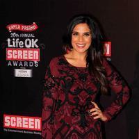 Richa Chadda - 20th Annual Life OK Screen Awards Photos