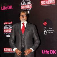 Amitabh Bachchan - 20th Annual Life OK Screen Awards Photos