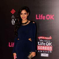 Shazahn Padamsee - 20th Annual Life OK Screen Awards Photos