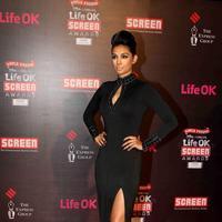 Preeti Desai - 20th Annual Life OK Screen Awards Photos | Picture 697142