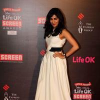Chitrangada Singh - 20th Annual Life OK Screen Awards Photos