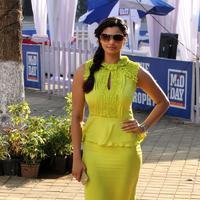 Daisy Shah - Bollywood Celebrities at Midday Trophy Photos