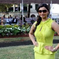 Daisy Shah - Bollywood Celebrities at Midday Trophy Photos