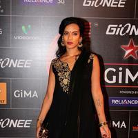 Anoushka Shankar (Musician) - 4th Gionee Star GiMA Awards Photos