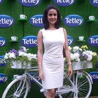Gul Panag - Kareena Kapoor relaunch Tetley Green Tea Photos