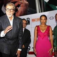 Premiere of Hollywood film Mandela Long Walk to Freedom Photos