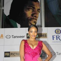 Terry Pheto - Premiere of Hollywood film Mandela Long Walk to Freedom Photos