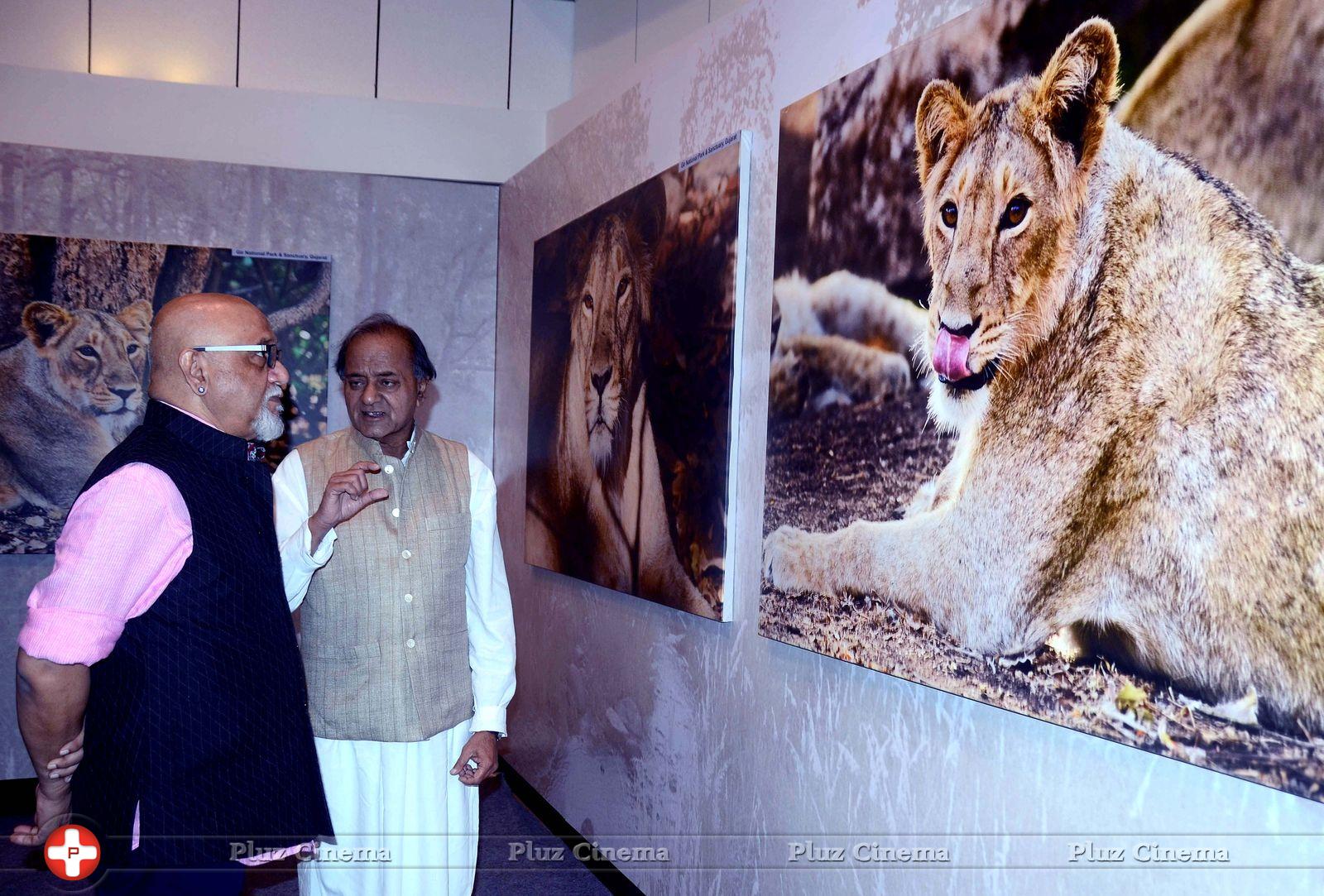 Picture 701252 | Wildlife Photography Exhibition Stills