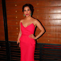 Sophie Choudry - 59th Idea Filmfare Awards 2013 Photos