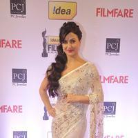 Elli Avram - 59th Idea Filmfare Awards 2013 Photos