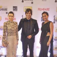 59th Idea Filmfare Awards 2013 Photos