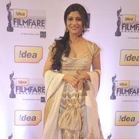 59th Idea Filmfare Awards 2013 Photos | Picture 702613