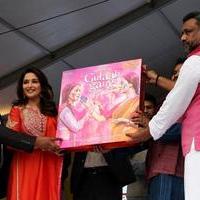 Madhuri Dixit - Music launch of film Gulaab Gang Stills | Picture 702290