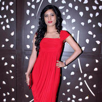 Priyanka Minhas - Music launch of film Needar The Fearless Stills | Picture 705423