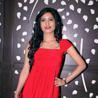 Priyanka Minhas - Music launch of film Needar The Fearless Stills