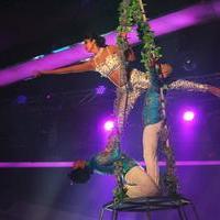 Shilpa Shetty - Shilpa Shetty performs aerial act at Nach Baliye 6 finale Photos | Picture 705848
