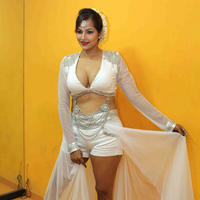 Tanisha Singh - Tanisha Singh celebrates Holi Stills | Picture 726526