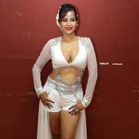 Tanisha Singh - Tanisha Singh celebrates Holi Stills | Picture 726530
