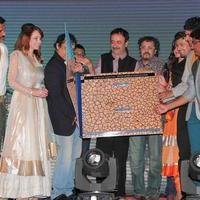 Music launch of the film Jal Stills