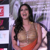 Sunny Leone - Press conference of film Ragini MMS 2 Photos | Picture 735297