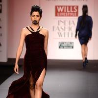 Wills Lifestyle India Fashion Week 2014 Day 2 Photos | Picture 735936