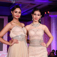 Launch of Tanishq Wedding Collection Stills | Picture 617066
