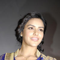 Priya Anand - Arima Nambi Movie Audio Launch Photos | Picture 742824