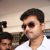 Vijay - Stars at April 2014 Elections Photos | Picture 747695