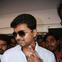 Vijay - Stars at April 2014 Elections Photos | Picture 747701