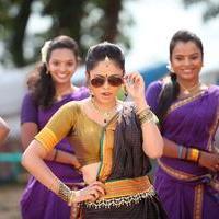 Nandita Swetha - Aindhaam Thalaimurai Sidha Vaidhiya Sigamani Movie Stills | Picture 804523