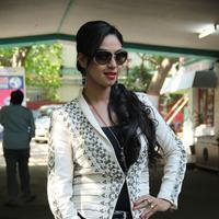 Angana Roy at Kabadam Movie Team Meet Photos | Picture 805595