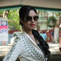 Angana Roy at Kabadam Movie Team Meet Photos | Picture 805605