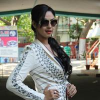 Angana Roy at Kabadam Movie Team Meet Photos | Picture 805606