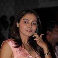 Andrea Jeremiah - Taramani Movie Audio Release Function Pictures | Picture 710232