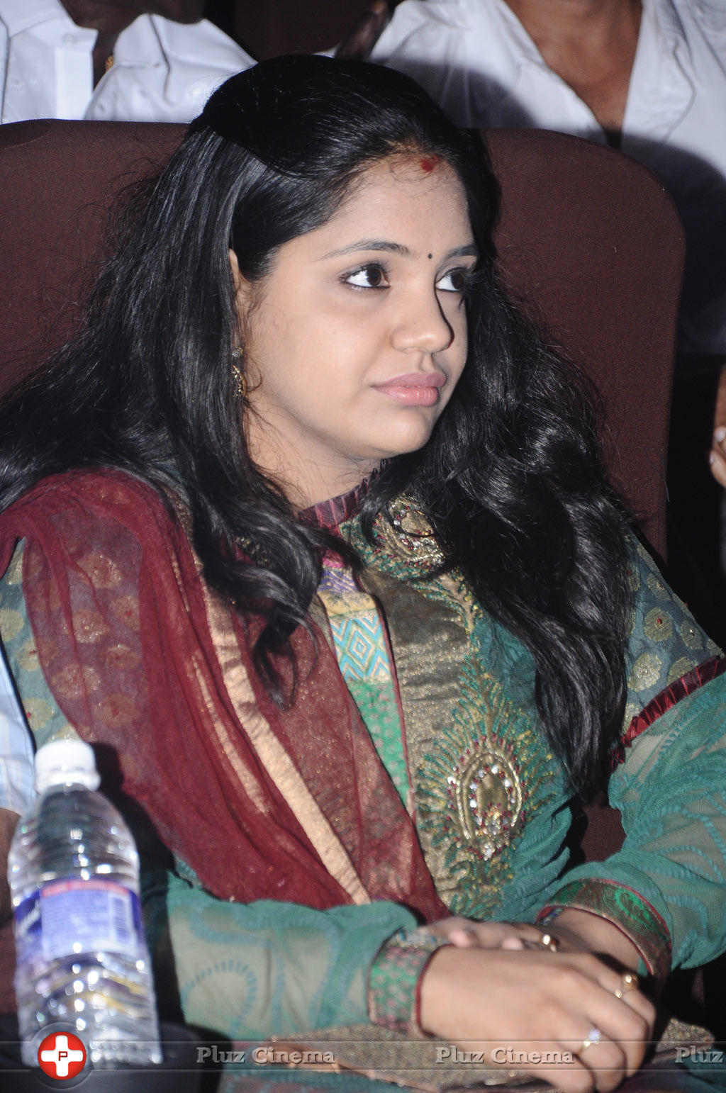 Saindhavi - Celebrities at Edison Award 2014 Photos | Picture 714070