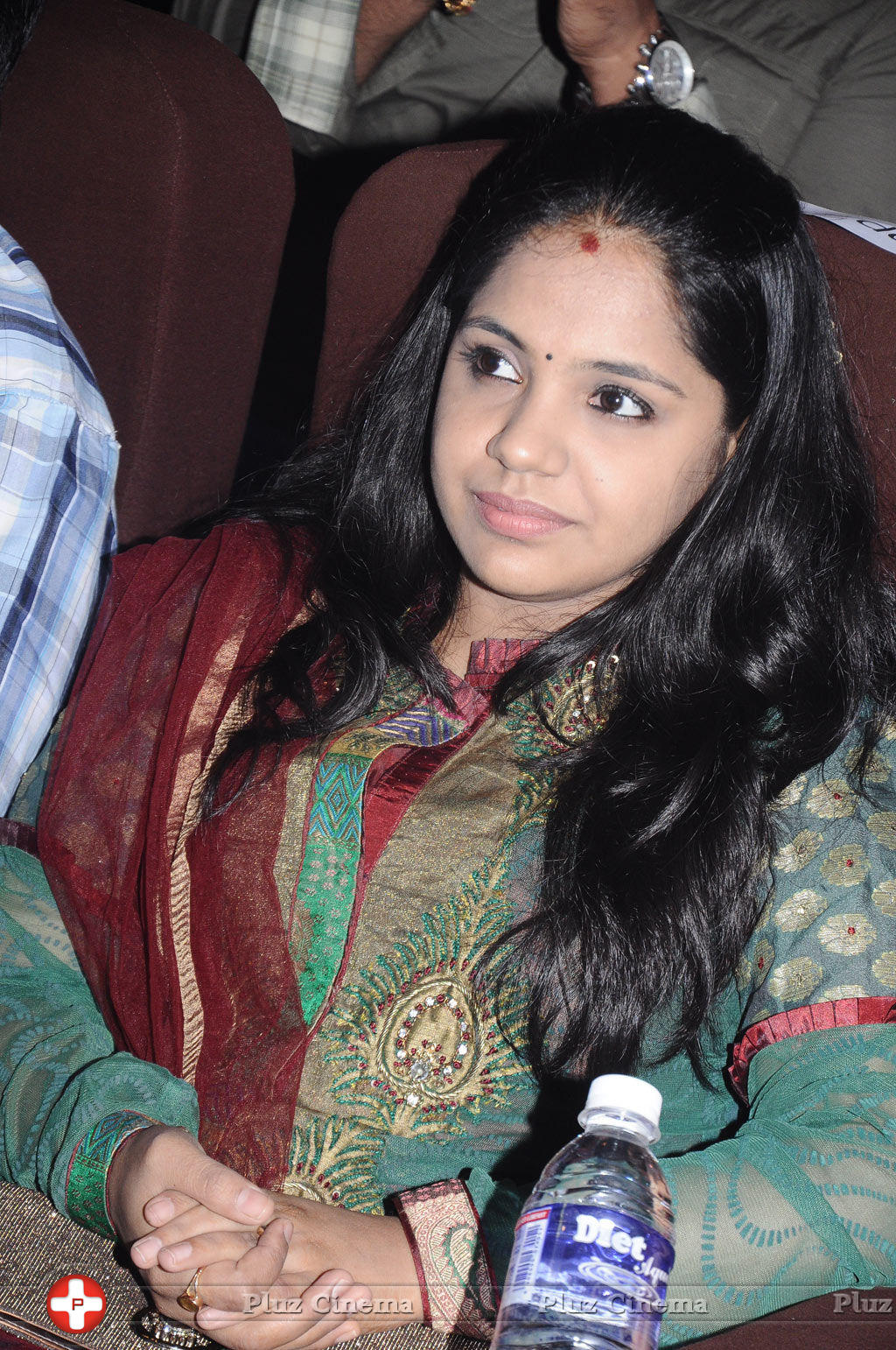 Saindhavi - Celebrities at Edison Award 2014 Photos | Picture 714082