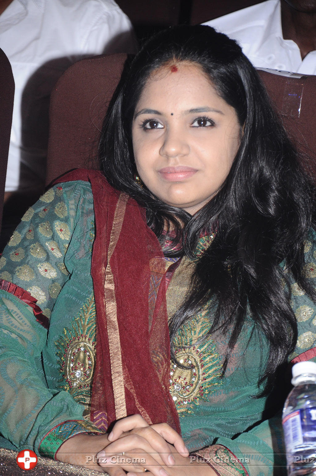 Saindhavi - Celebrities at Edison Award 2014 Photos | Picture 714121