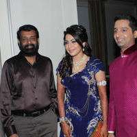 Anchor Ramya & Aparajith Wedding Reception Photos