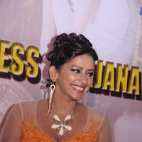 Sanjana Singh Press Meet Photos