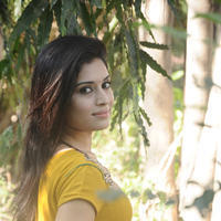 Hardhika Shetty - Aal Movie Press Meet Photos | Picture 719818